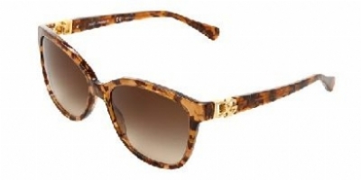 DOLCE GABBANA 4162P 255013