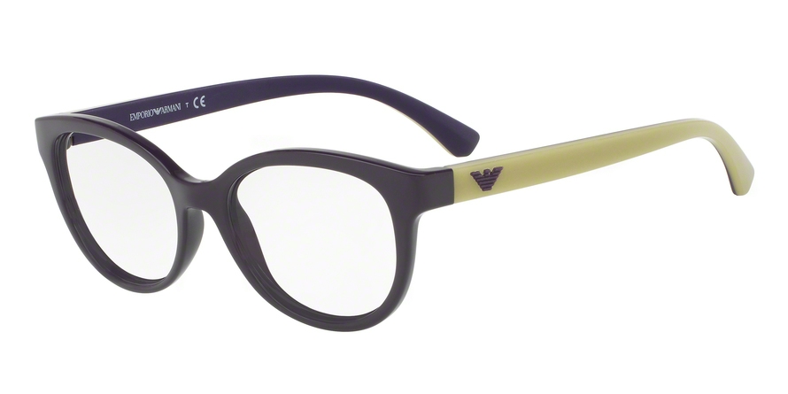 EMPORIO ARMANI 3104 5560