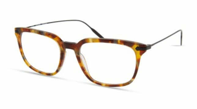 MODO IGEL BROWNTORTOISE