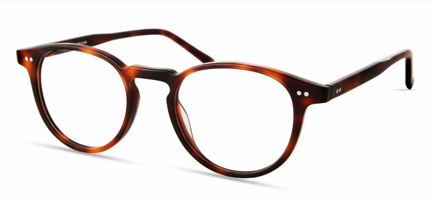 MODO 8010 BROWNTORTOISE