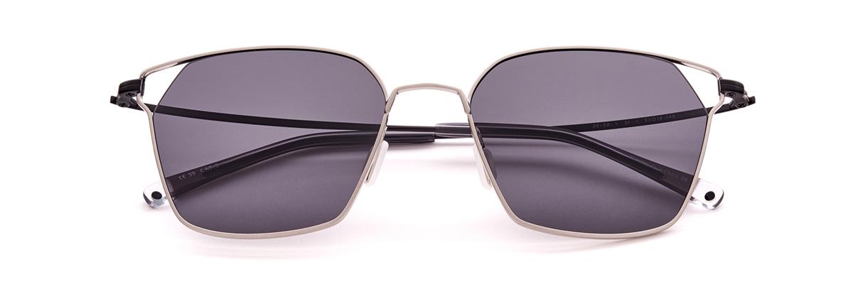 PARADIGM 20-50 SILVER(POLARIZED)