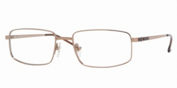 LUXOTTICA TITANIUM 1418T 4030
