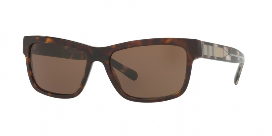 BURBERRY 4225F 300273