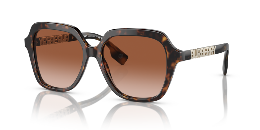 BURBERRY 4389 300213