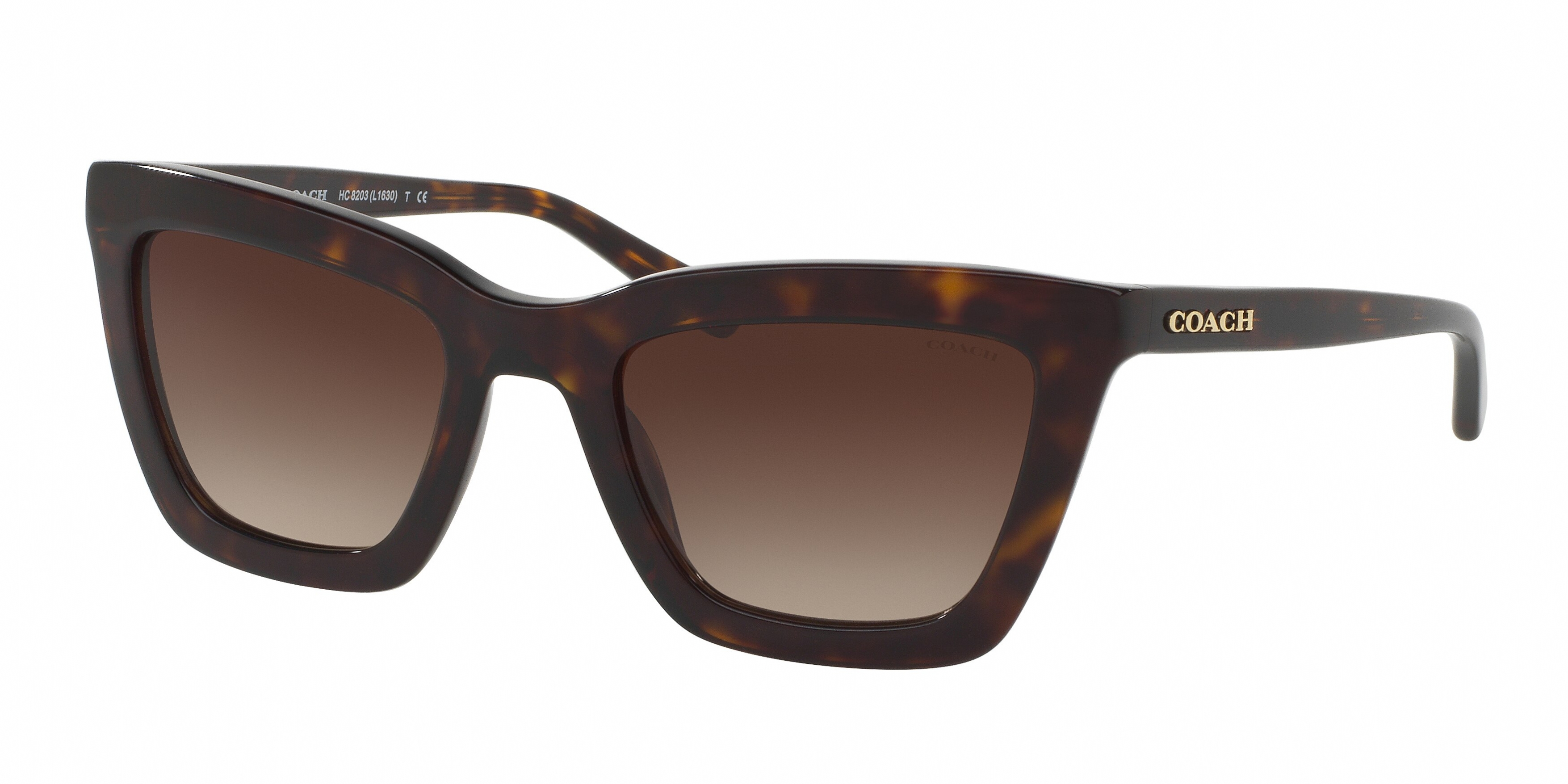 COACH 8203 512013