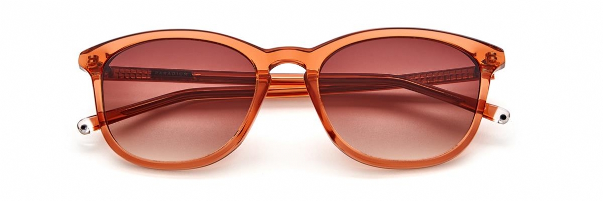 PARADIGM 19-42 SIENNA