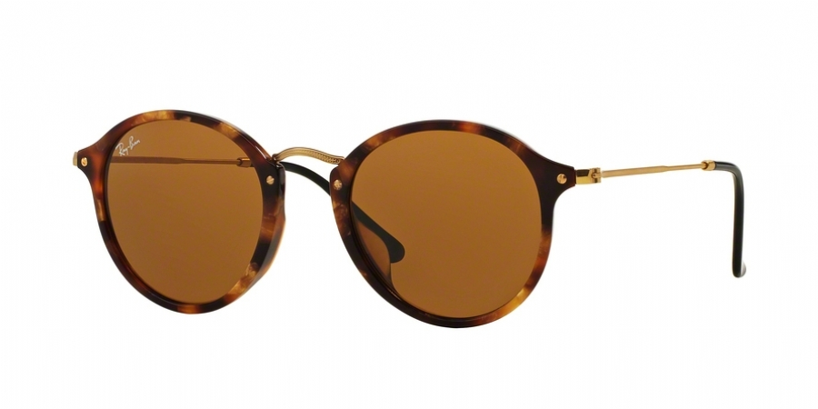 RAY BAN 2447F 1160