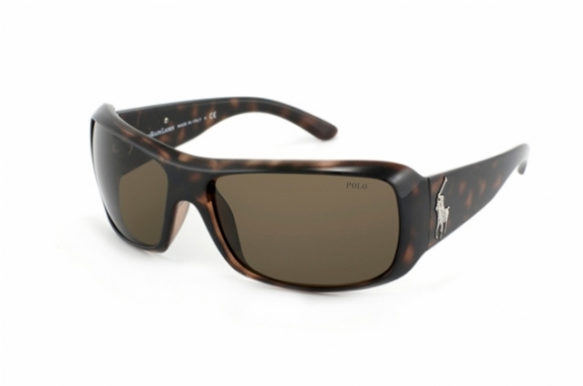 Polo hotsell 4039 sunglasses