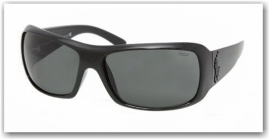 Polo 4039 sunglasses discount