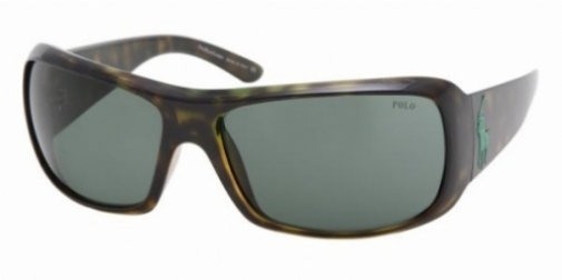 Polo 4039 Sunglasses